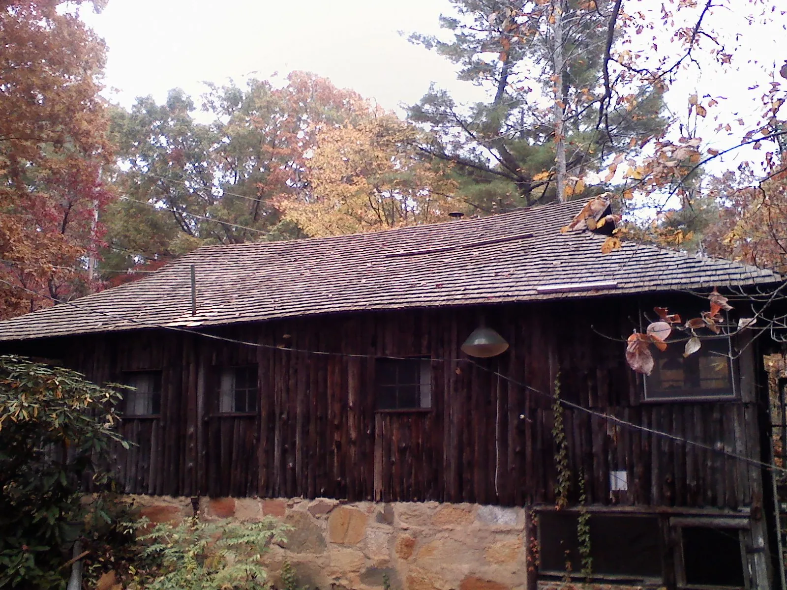 Weathered wood shake roof on a rustic board sided cabin in Cummings